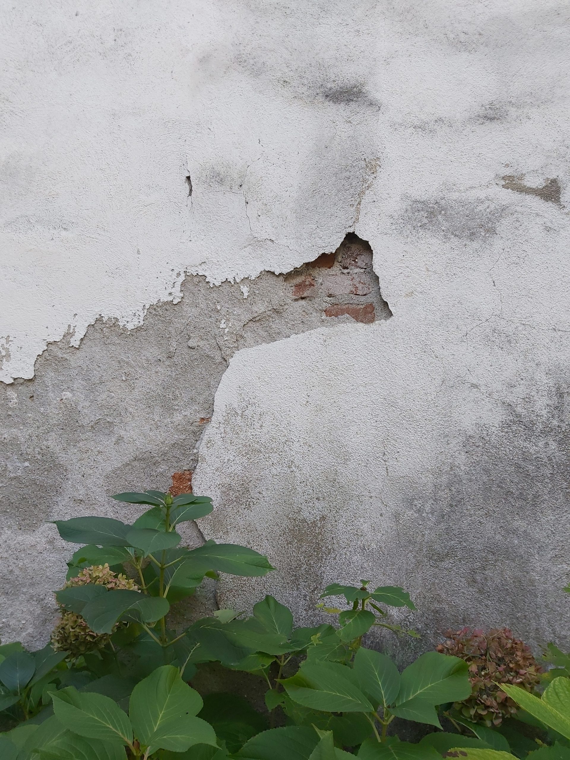 odkimg
